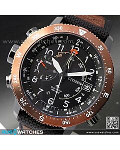 Citizen Promaster Eco-Drive Compass Altichron Multifunction Watch BN4049-11E