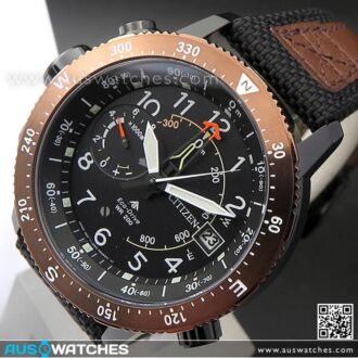 Citizen Promaster Eco-Drive Compass Altichron Multifunction Watch BN4049-11E